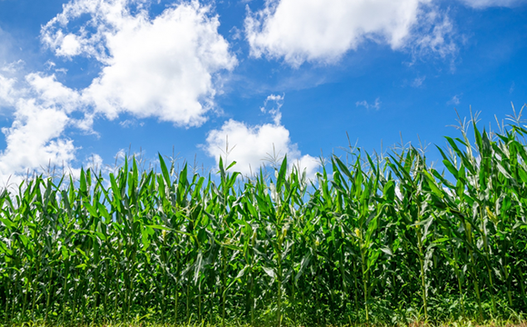 私たちFILOについて